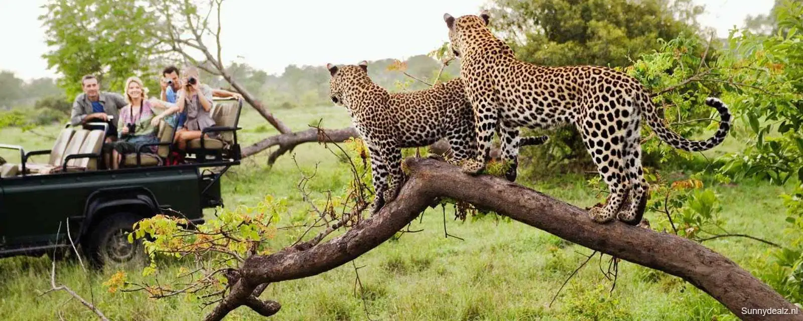 Hoe wil jij de wereld verkennen? ☀️ Vakantiedeals | Sunnydealz