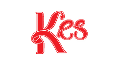 Logo kesvisum