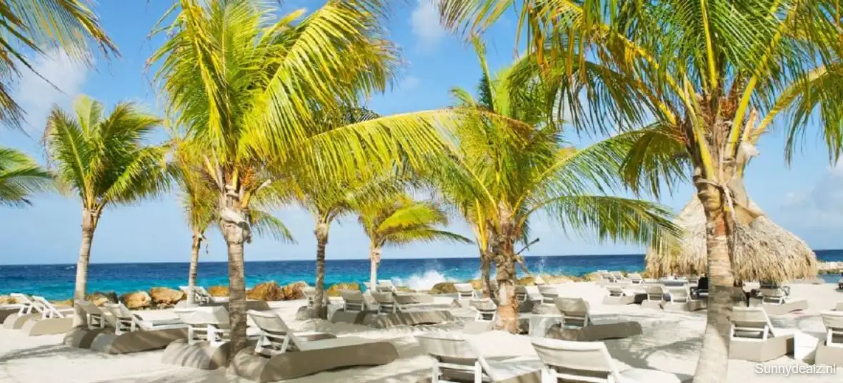 Curacao livingstone jan thiel resort rocd