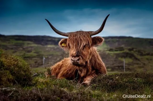9 daagse Canarische Eilanden Cruise met de Costa Pacifica vanuit Barcelona langs Spanje, Canarische Eilanden en Portugal