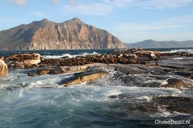 Duiker Island 2076042 640
