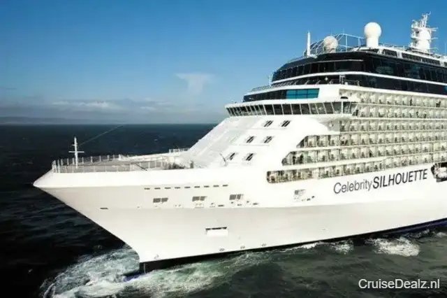 Celebrity Silhouette