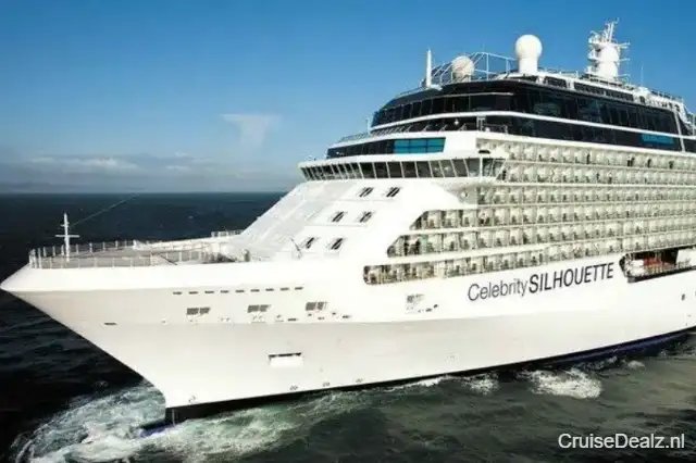 Celebrity Silhouette