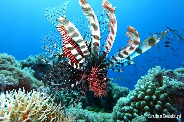 8 daagse Canarische Eilanden cruise met de Costa Fortuna