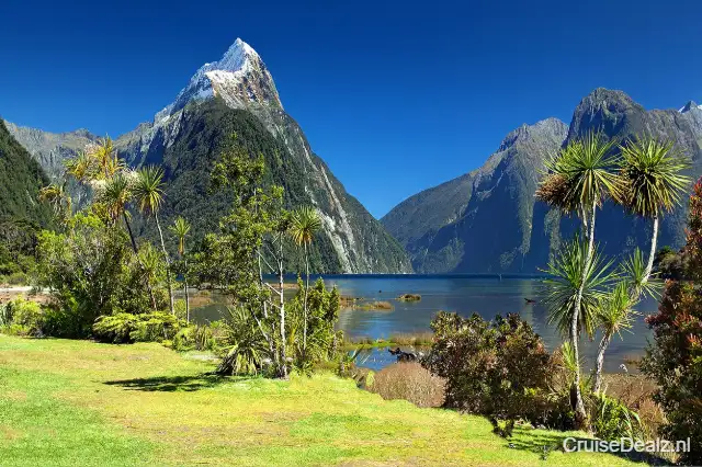 Goedkope cruisereis Nieuw-Zeeland 🛳️ PONANT