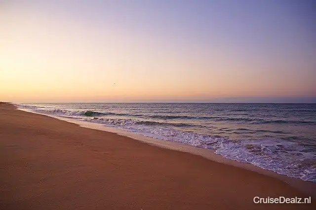 impressie Silver Muse