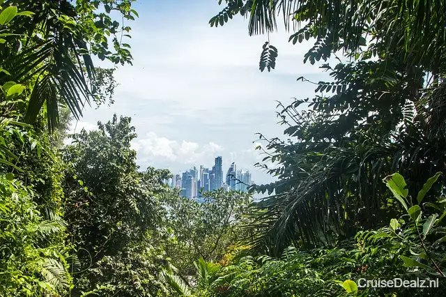 impressie Silver Origin