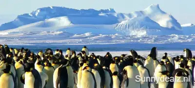 Antarctica 429127 pixabay