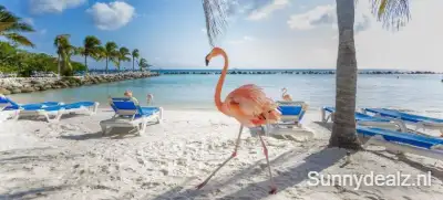 Aruba 71323437 123rf