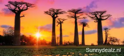 Madagaskar 40645919 123rf