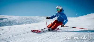 Oostenrijk 1551698618 unsplash